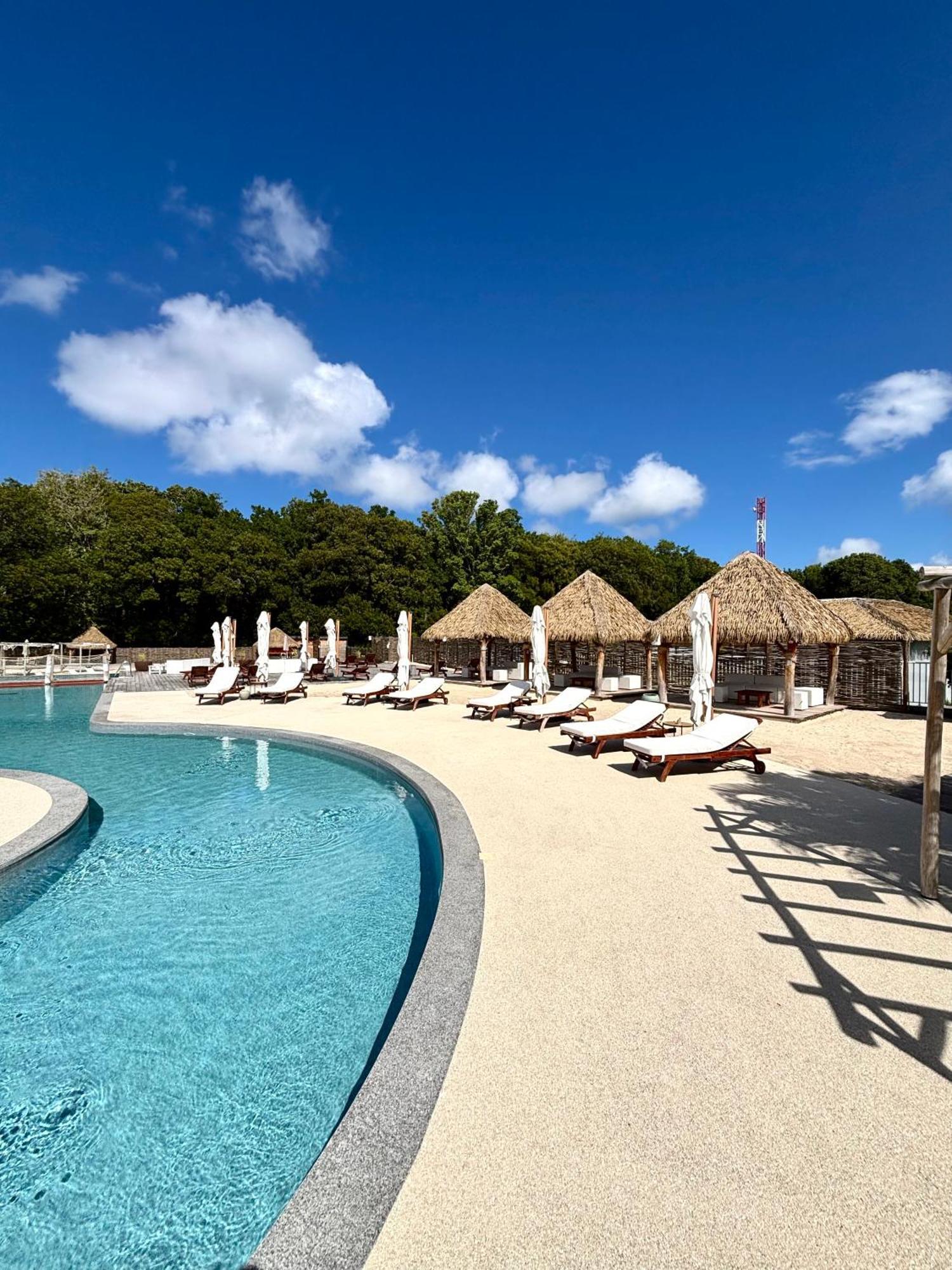 La Bulle De Maloma - Piscine, Blue Dream, Plage Grand-Bourg  Extérieur photo